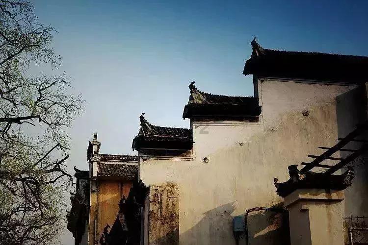 孙子对爷爷奶奶有赡养义务吗